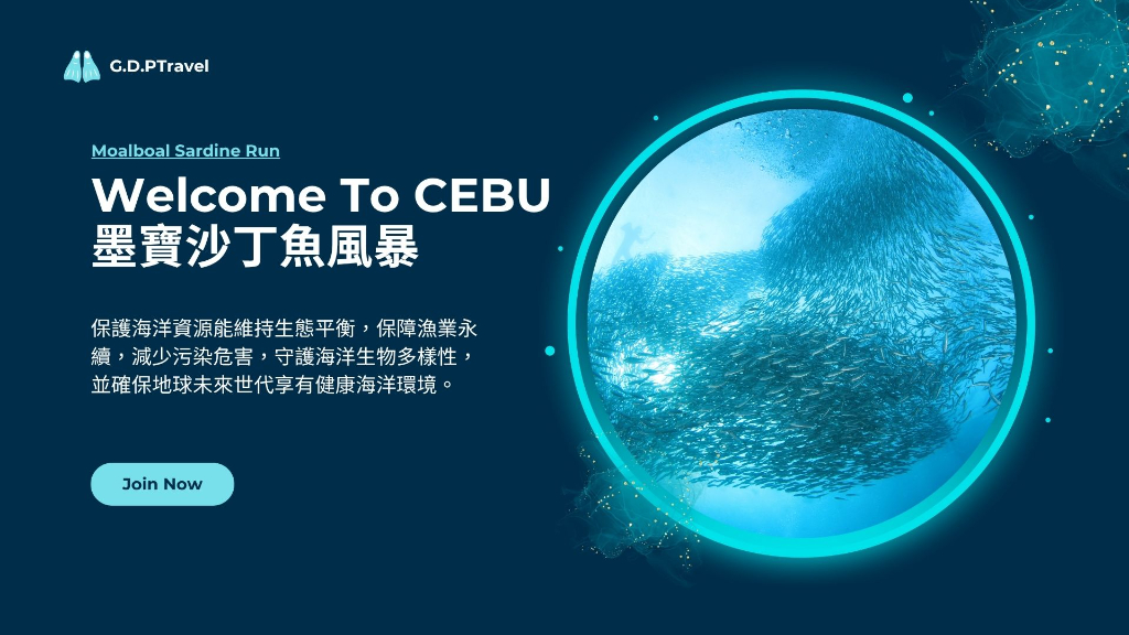 宿霧Moalboal墨寶沙丁魚風暴主圖