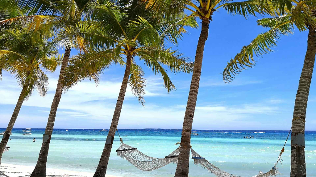 S1的星期五沙灘