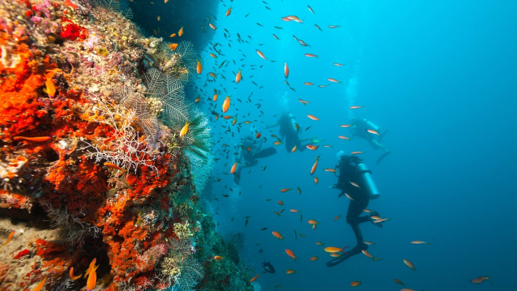 薄荷島巴里卡薩島大斷層深潛