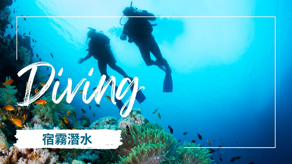 宿霧潛水主圖