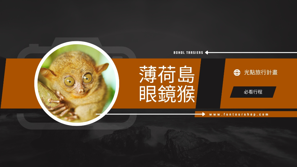 呆萌的眼鏡猴