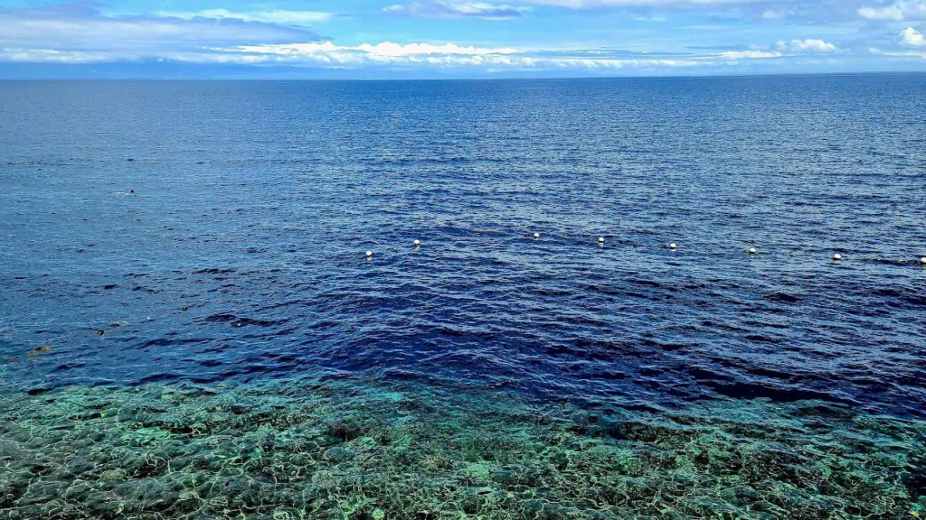 薄荷島Napaling Reef