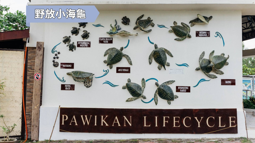Pawikan Conservation Center
